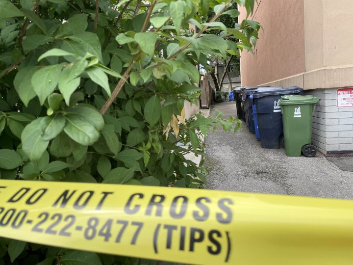 Man in 60s dead after daylight stabbing in Toronto: police - image