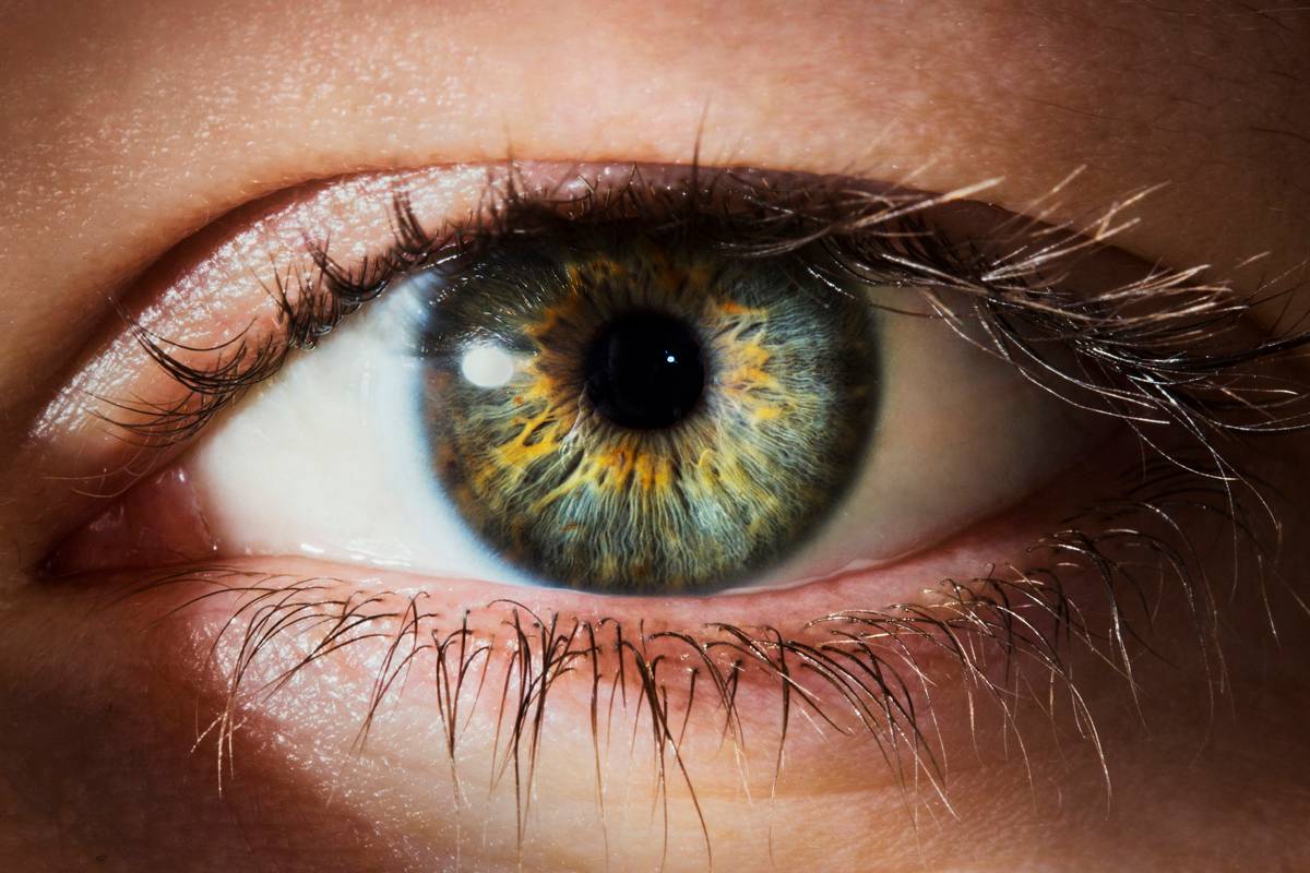 1st drug of its kind that could treat incurable eye diseases being developed in Ontario - Vimarsana News