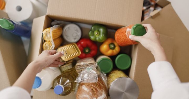 Leftover, rescued produce helping food banks reduce waste – National | Globalnews.ca