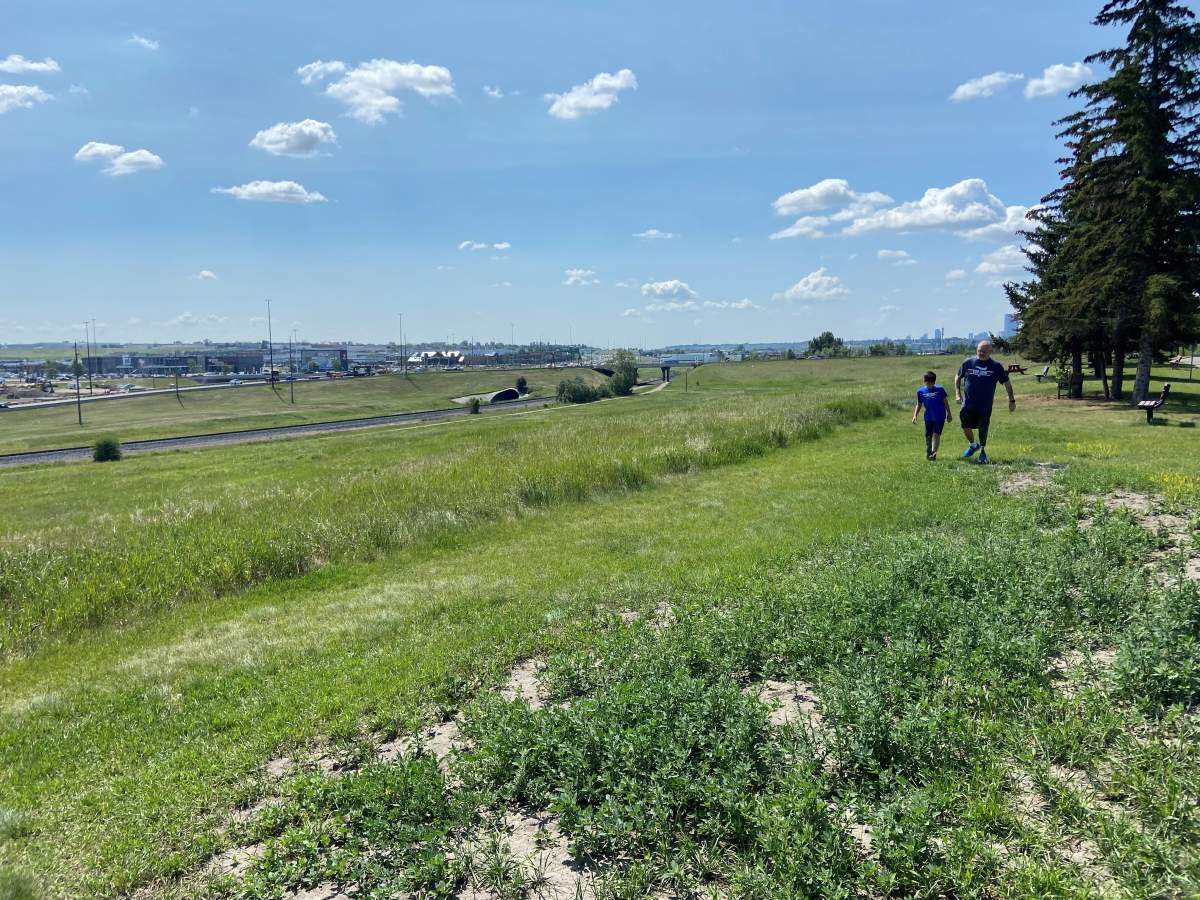 Xander and his Don out for a walk together.