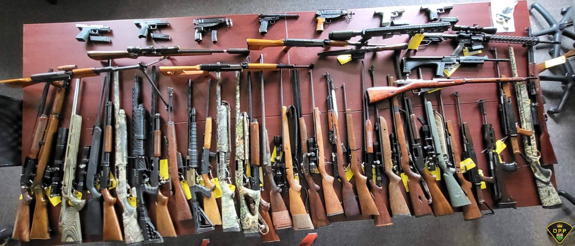 51 firearms seized on Wolfe Island in OPP guns and gangs raids - Vimarsana News