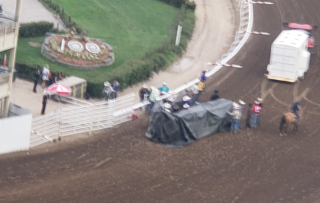 Horse euthanized following injury during Calgary Stampede chuckwagon race