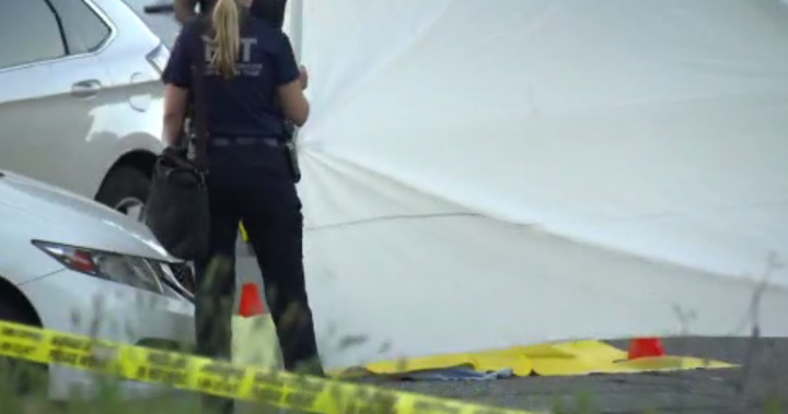 Police incident in Surrey Sunday evening, body under tarp, IHIT on scene – BC | Globalnews.ca
