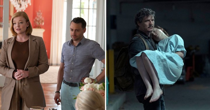 Nominations aux Emmy Awards 2023: «Succession», «Last of Us» devrait gagner gros – National