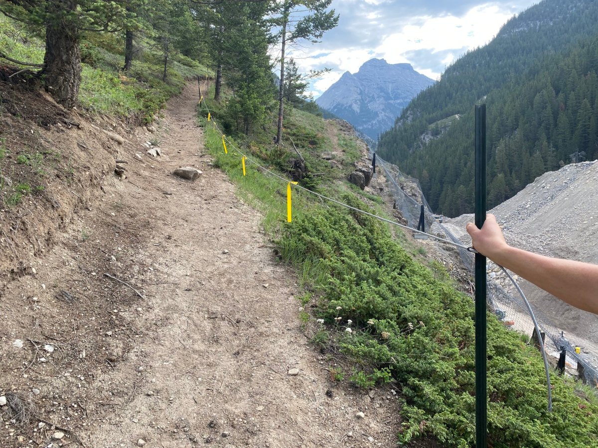 Undated image of Lady Macdonald Trail near Canmore, which has been closed to the public as of July 22, 2023 following an encounter with a bear that left a trail-user with minor injuries. 