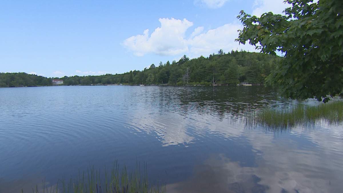 A photo of a lake surrounded by greenery on a sunny day.