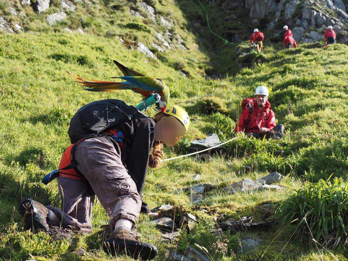 The woman, whose face is blurred out, and her parrot Jeckyll were helped down the mountain by rescuers.
