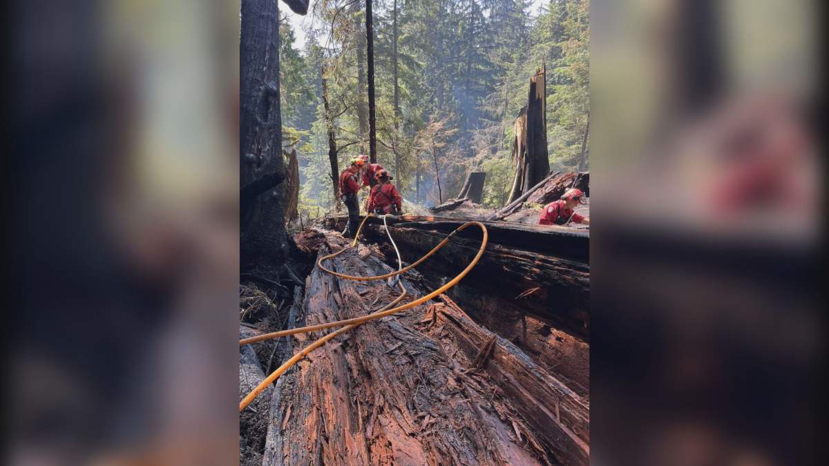 The Seymour River wildfire is now considered held.