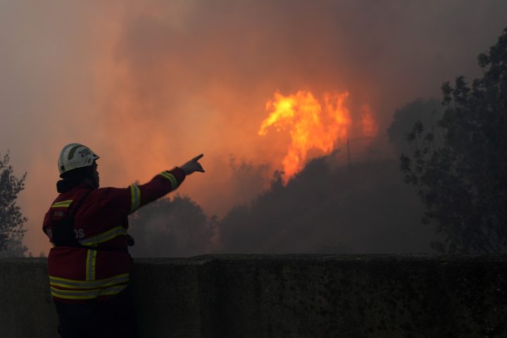 Dozens killed as wildfires, heat wave sweep through the Mediterranean – National | 24CA News
