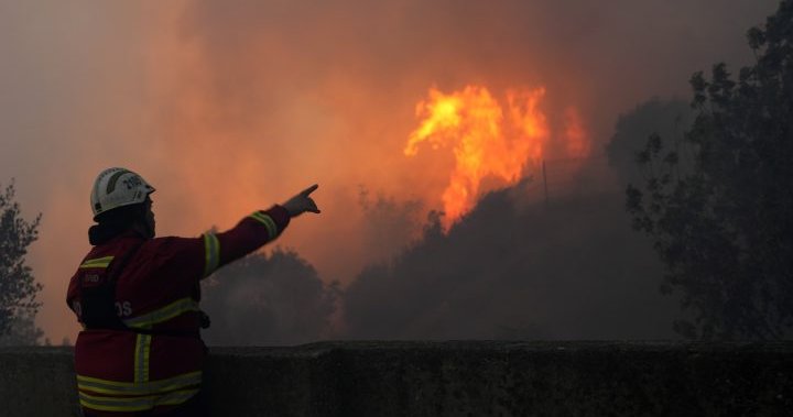 Dozens killed as wildfires, heat wave sweep through the Mediterranean