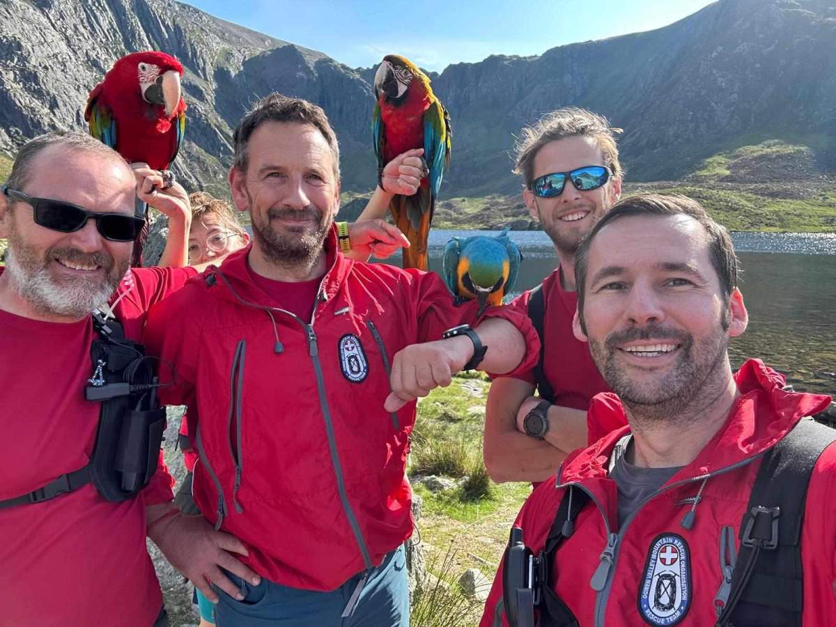 Mountain rescuers posing with two parrots after they helped save a woman stuck up on a cliff after she scaled a mountain trying to retrieve her pet parrot.