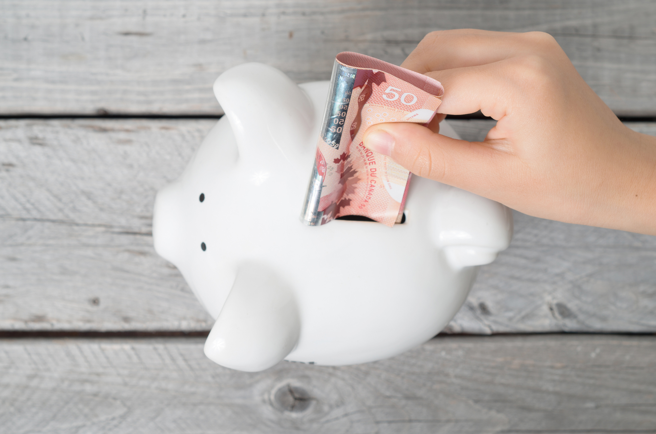 Boy hand inserting a fifty dollars bank note into white piggy bank against wooden grey background