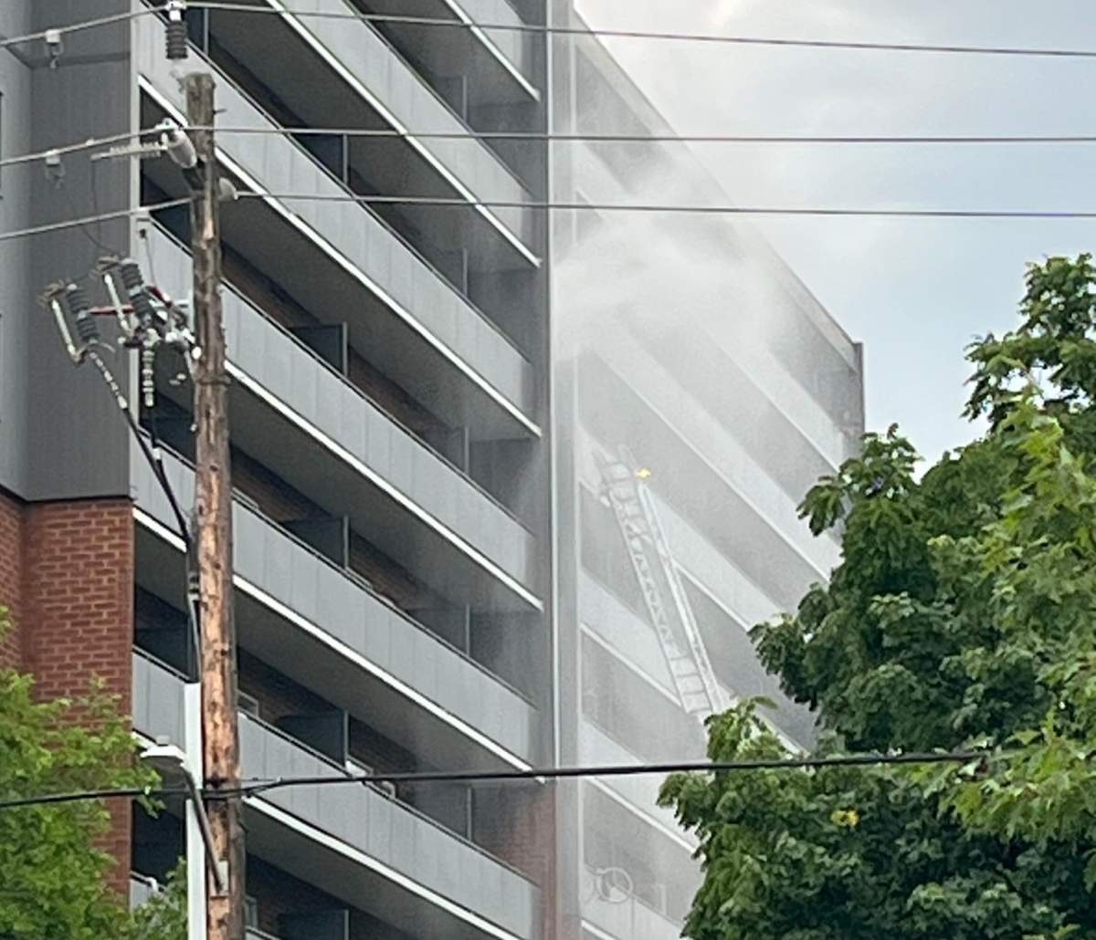 A closeup of an apartment building during the day with a tree and telephone pole in the foreground. A firefighter's ladder is against the building and smoke can be seen coming from the building.