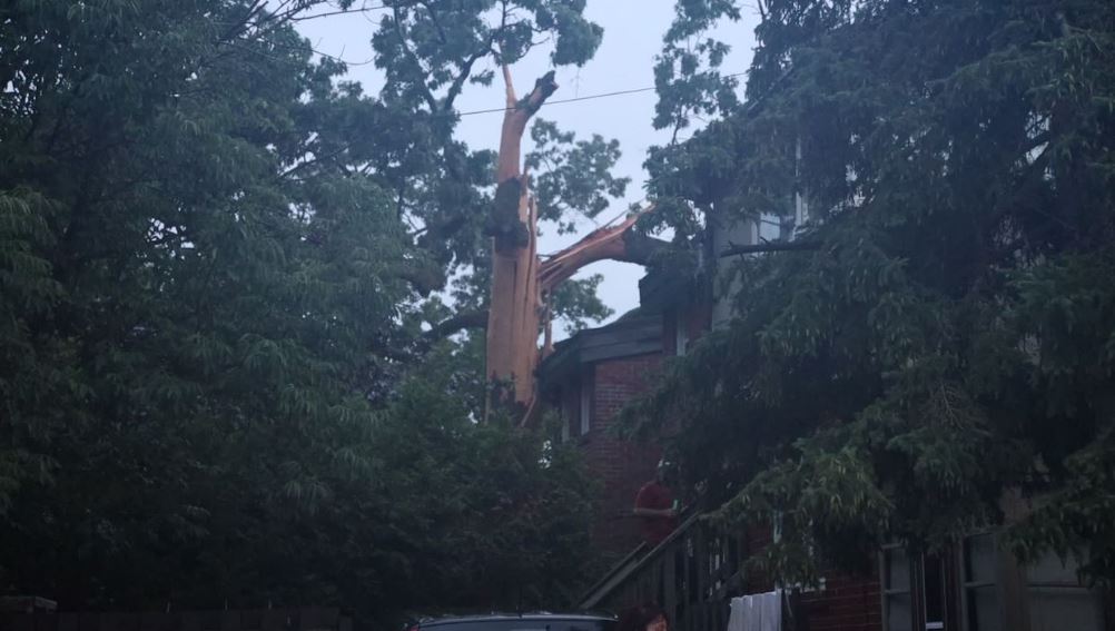 Toronto Fire says a tree that was struck by lightning collapsed onto two homes on July 20, 2023.
