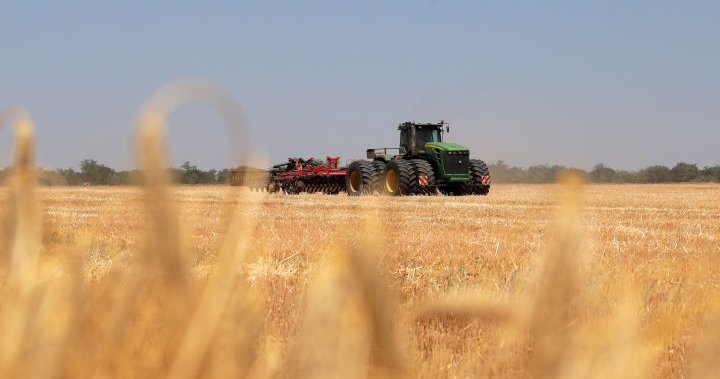Russia suspends Black Sea grain deal in blow to global food security