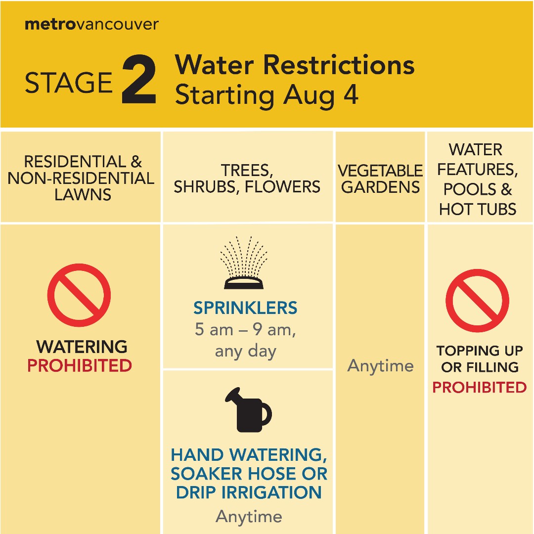 Metro Vancouver moves to Stage 2 water restrictions for 1st time since 2015 - image
