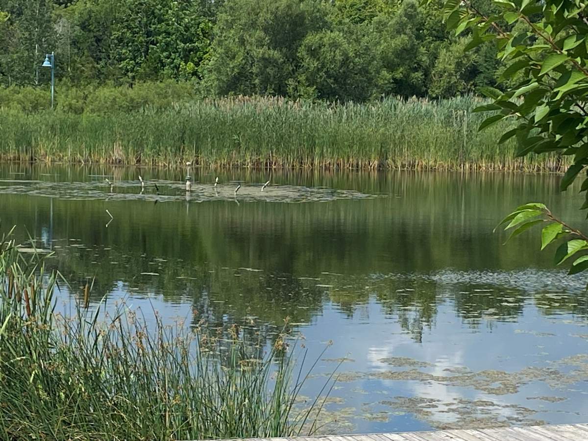 The faulty fountain parts needed to be sourced from a company in Sweden, increasing the timeline for repairs.