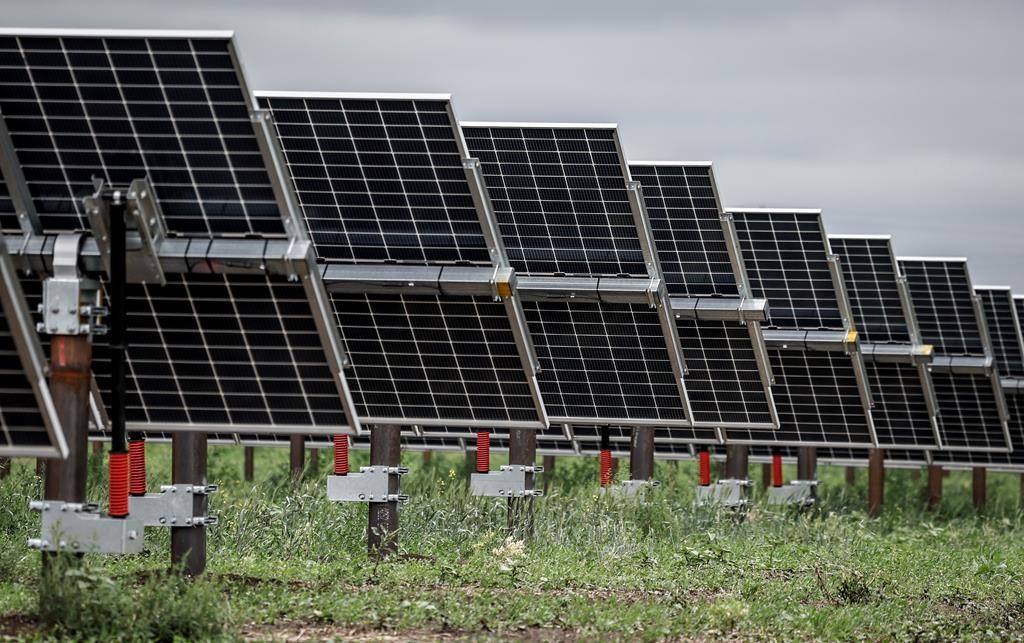 An industry group says Alberta's decision to pause approvals of new renewable energy projects is putting the lives of thousands of workers on hold. Solar panels pictured at the Michichi Solar project near Drumheller, Alta., Tuesday, July 11, 2023. THE CANADIAN PRESS/Jeff McIntosh.