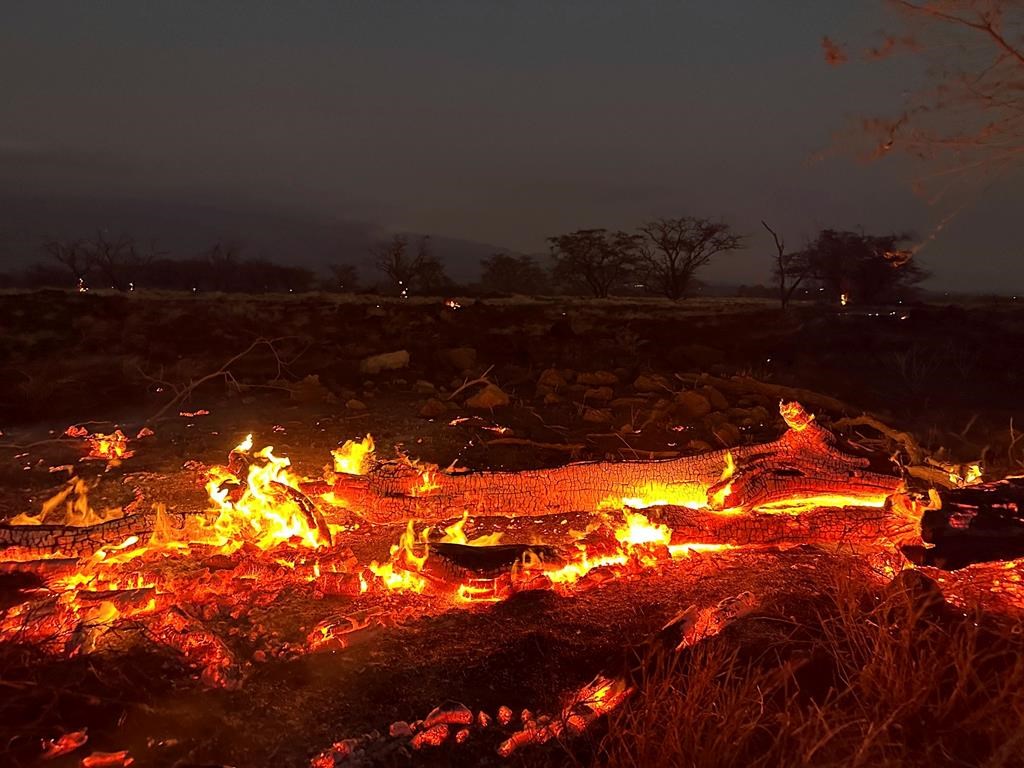 Alberta expats recount evacuation, devastation of Maui wildfires  | 24CA News