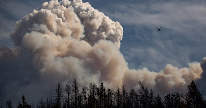 2021 heat dome fuelled by climate change, intensified wildfire risk: study