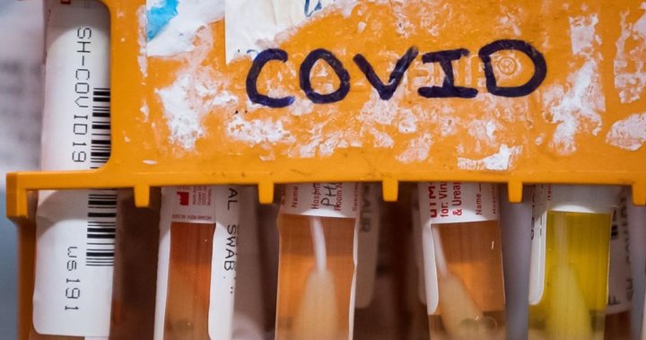 First Canadian case of new COVID-19 variant confirmed in B.C.