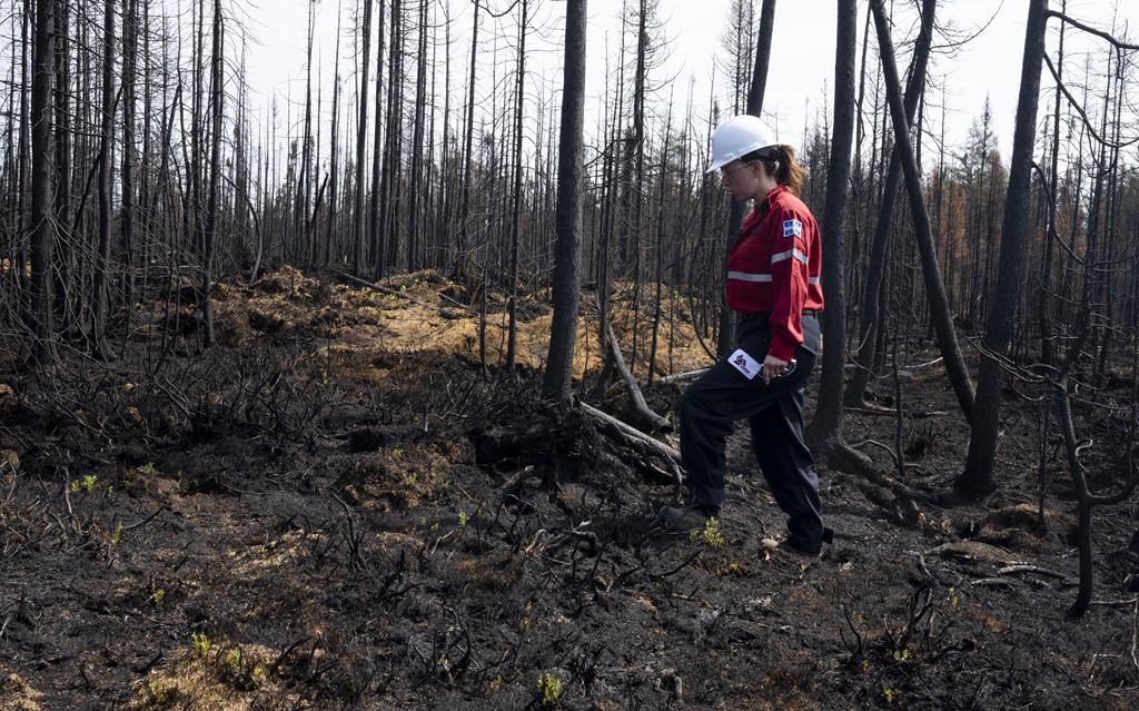 Служителите в агенцията за горски пожари на Квебек са гласували