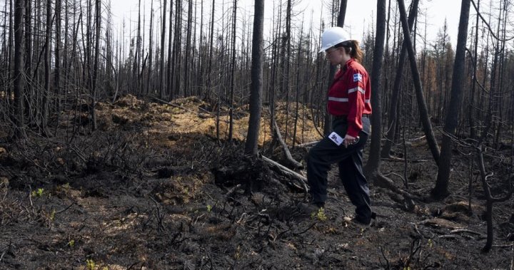 Quebec forest fire workers vote for strike mandate as wildfire season looms