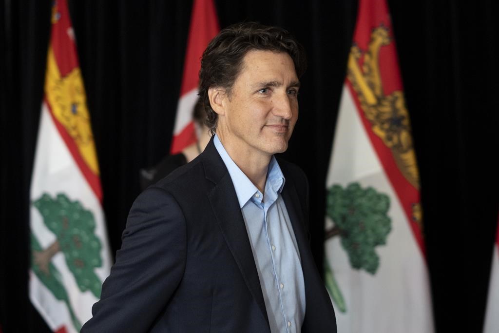 Ottawa to buy ferry for route between P.E.I, N.S., will build 2 more ferries by 2028  | 24CA News