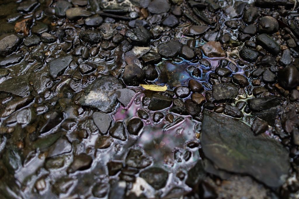 Cleanup of creeks after industrial Toronto fire to take until October, ministry says – Toronto | 24CA News