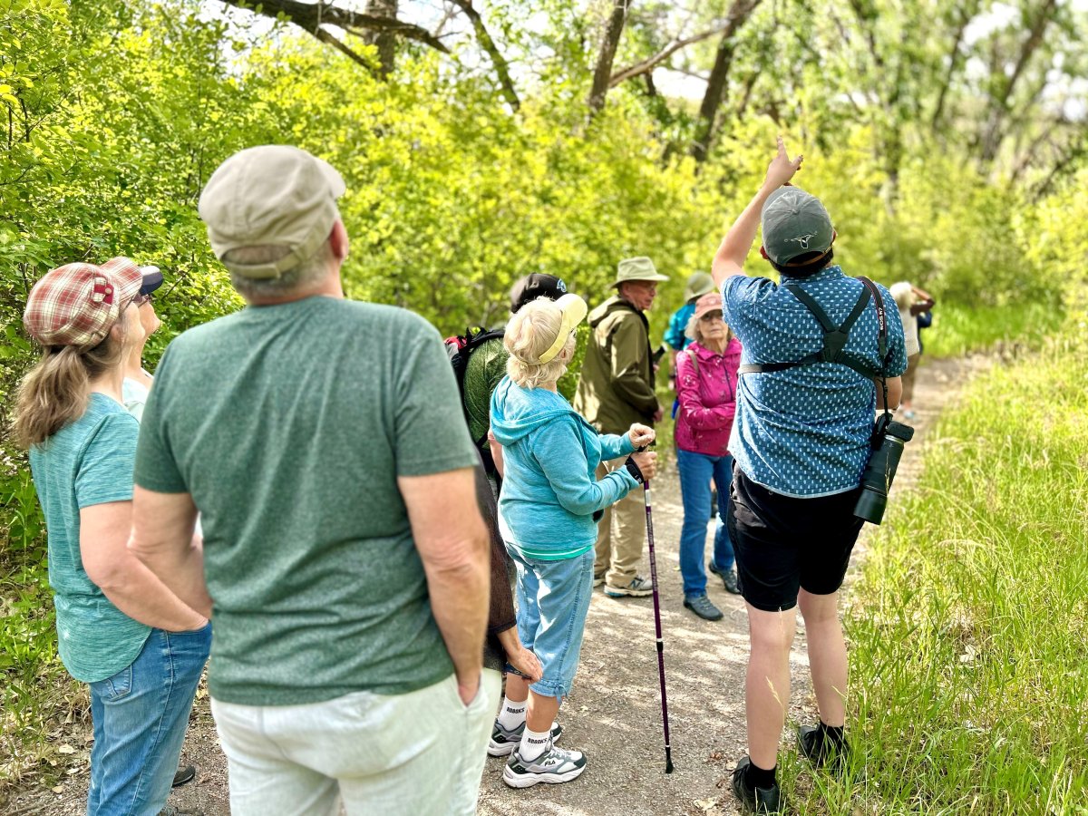 Members of the Summer Nature Walking Club in Lethbridge stopped in front of a large, green bush listening to the interrupter speak.