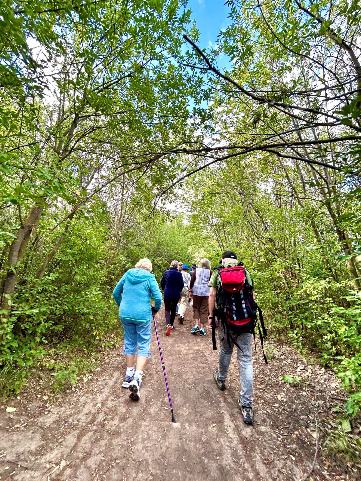People with walking sticks in a forested part of Lethbridge.