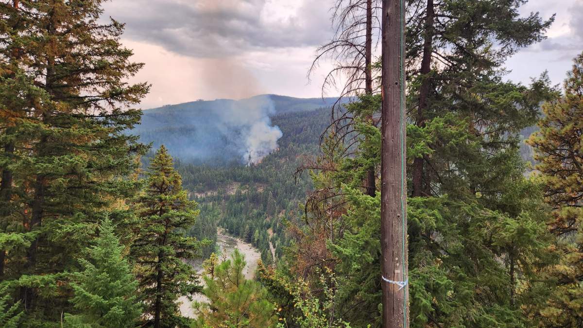 FortisBC has unveiled a plan it hopes will reduce wildfire risks in the Southern Interior. 
