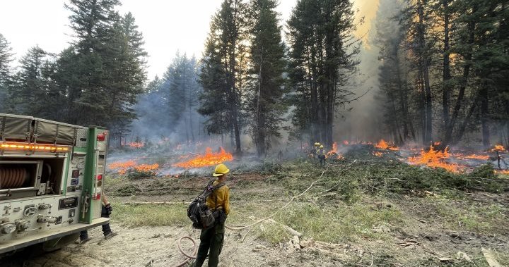 In the line of fire: Firefighters face perilous conditions amid record season