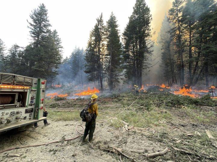 In the line of fire: Firefighters face perilous conditions amid record season - Vimarsana News