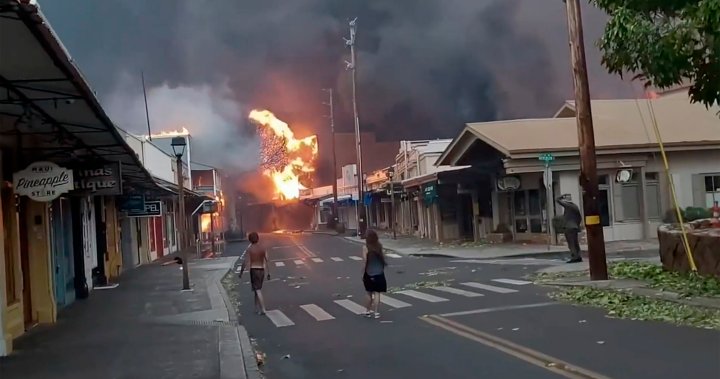 Después de que estalló un incendio en el complejo de su casa, una familia de la Columbia Británica voló a Maui, donde los incendios forestales están causando estragos.
