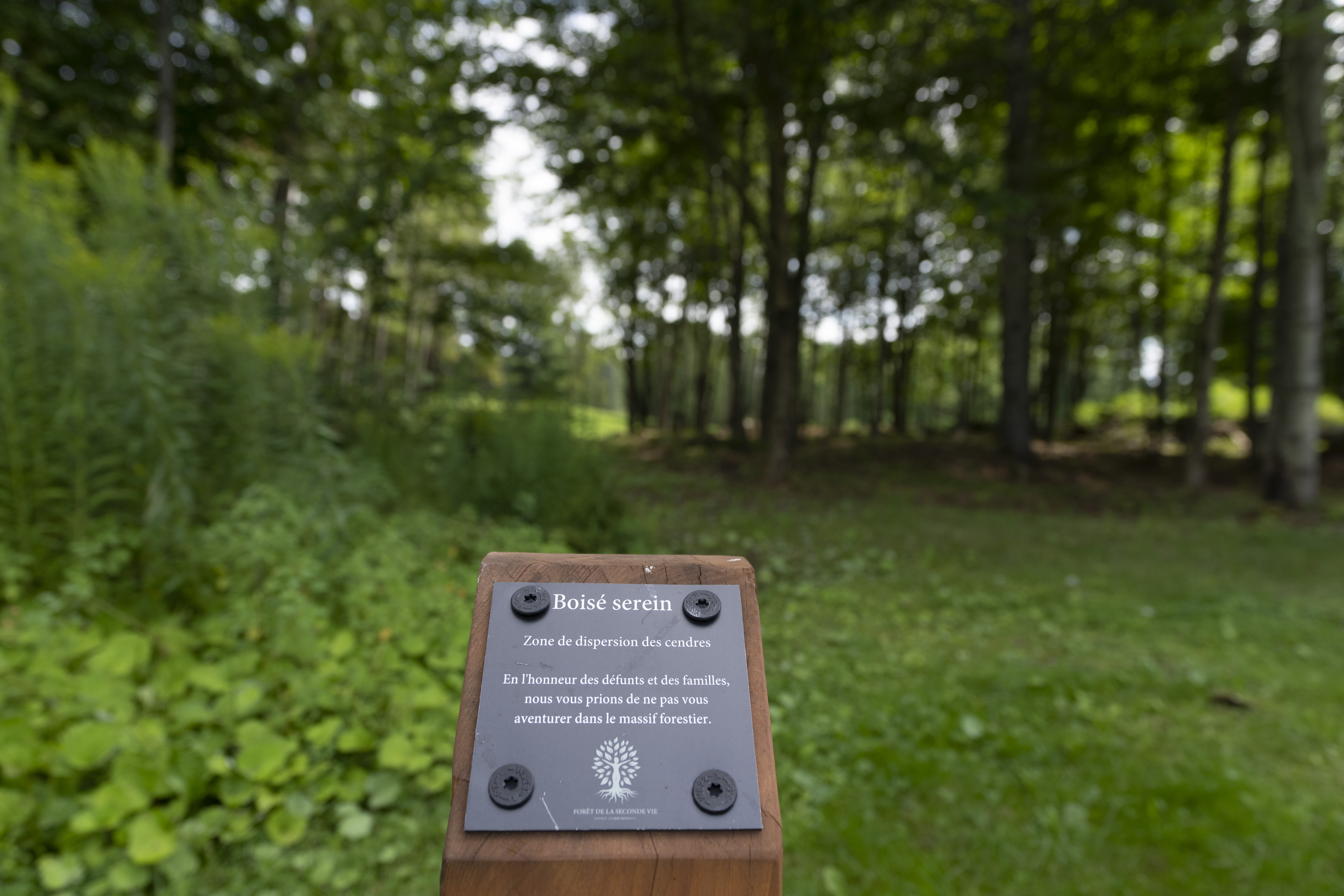 Quebec cemetery turns former golf course into forest for the deceased – Montreal | 24CA News