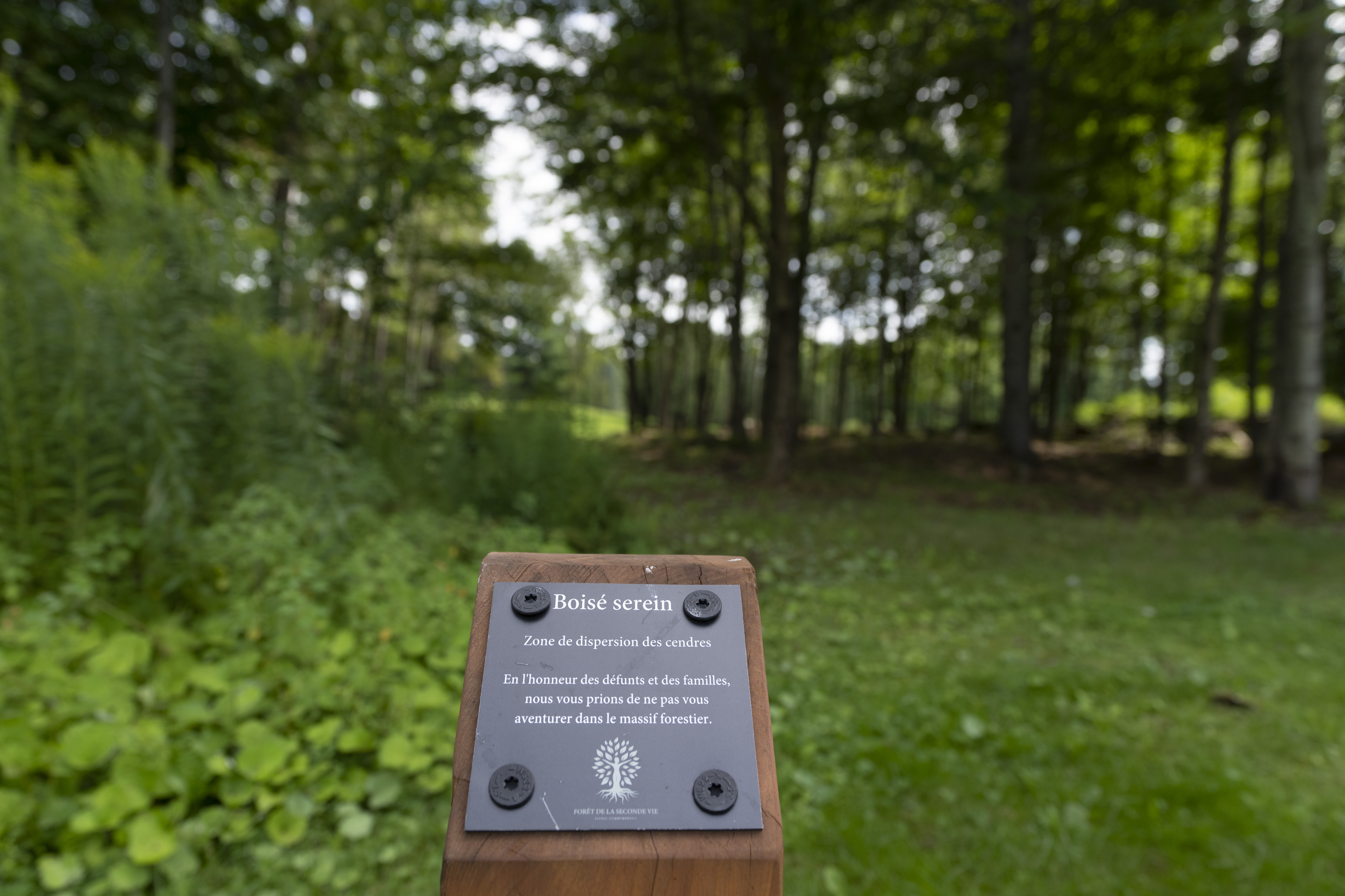 Quebec cemetery turns former golf course into forest for the deceased