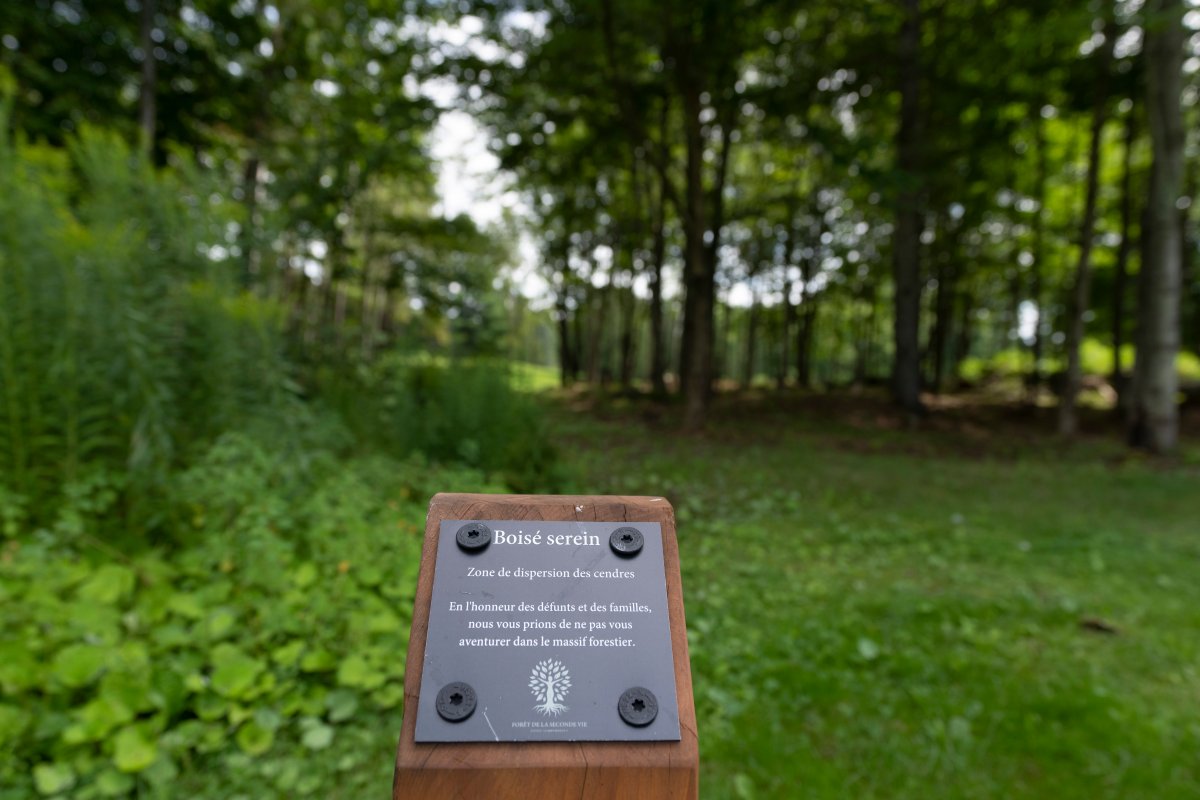 A marker indicates an zone for the scattering of ashes at Forêt de la Seconde Vie, an ecological and digital cemetery, on the site of a former golf course, in Sainte-Sophie, Que., Tuesday, Aug.15, 2023.  
