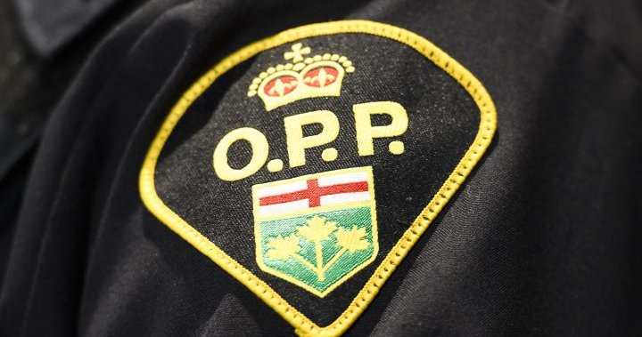 Manitoba man dies after workplace incident in West Perth, Ont.
