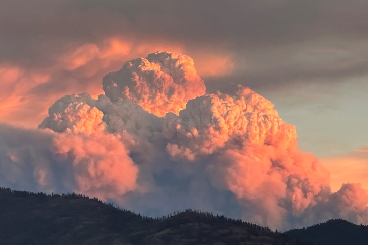 Viewer photos of massive wildfire cloud near Keremeos, B.C.