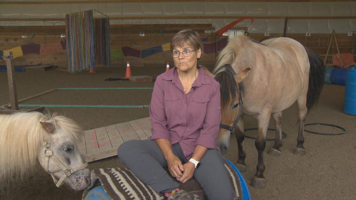 Kathy Asseiro helps the clients walk through different exercises with the horses.