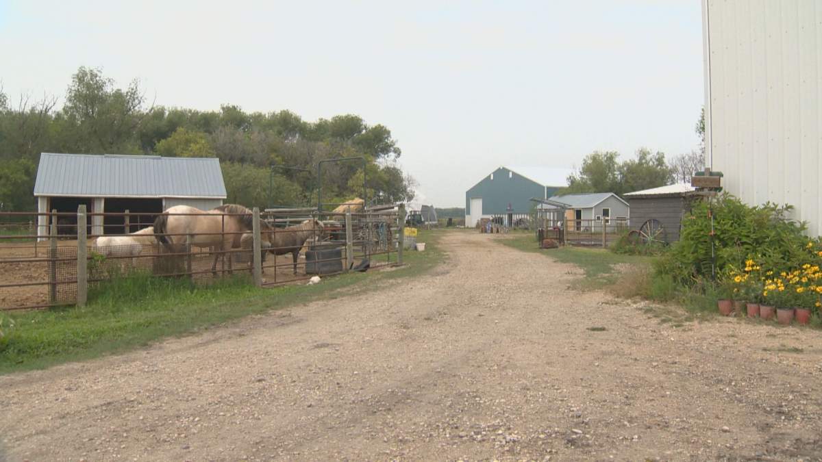 Symatree Farm is located just east of Winnipeg.