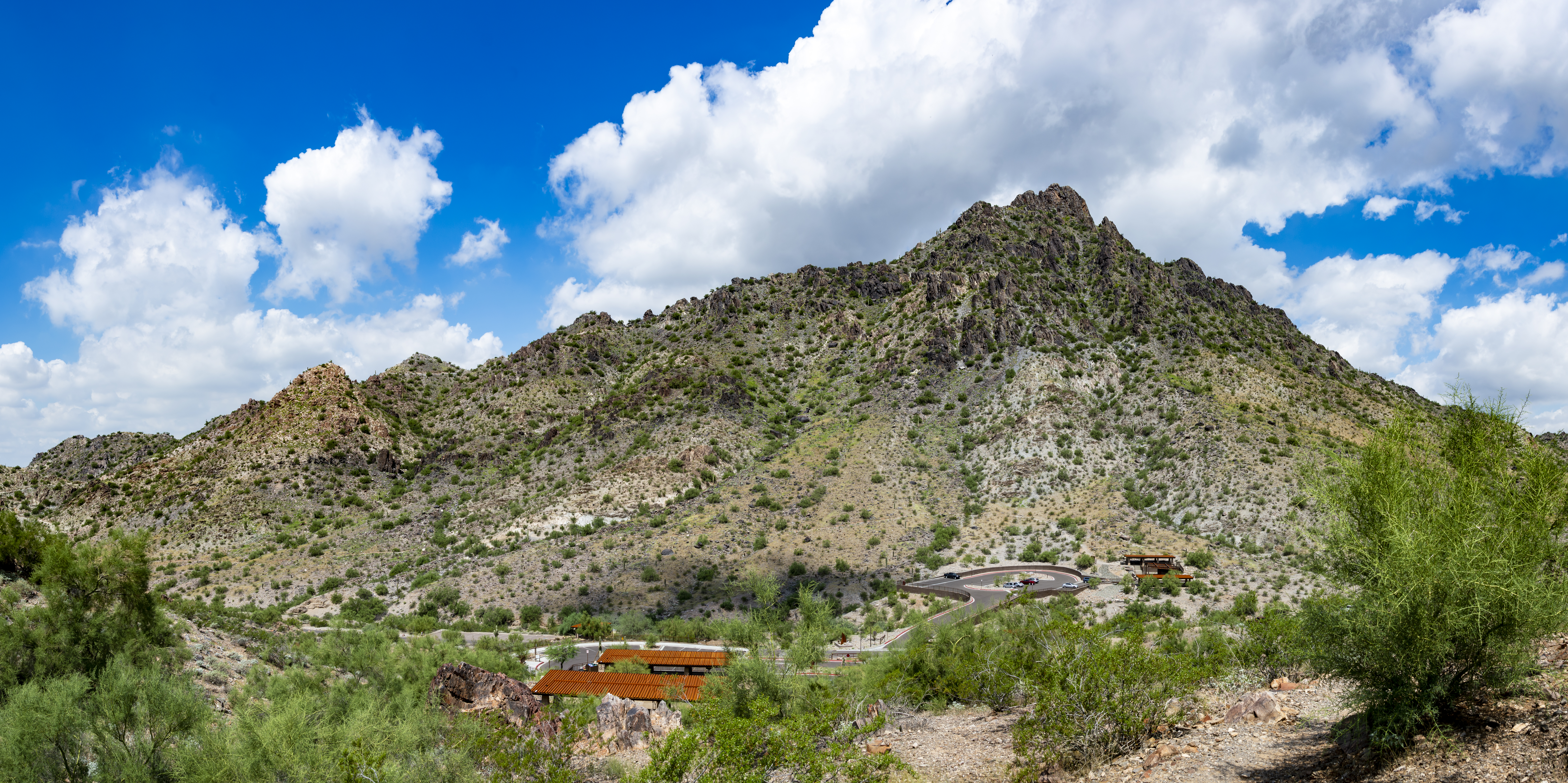 Man under investigation after dog dies on hike in 40C+ weather in Arizona - National - Vimarsana News