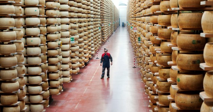 Italian man crushed to death by thousands of cheese wheels