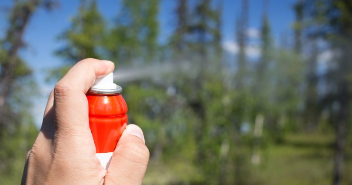 17 people hospitalized, 5 arrested after alleged bear spray attack at Quebec camp