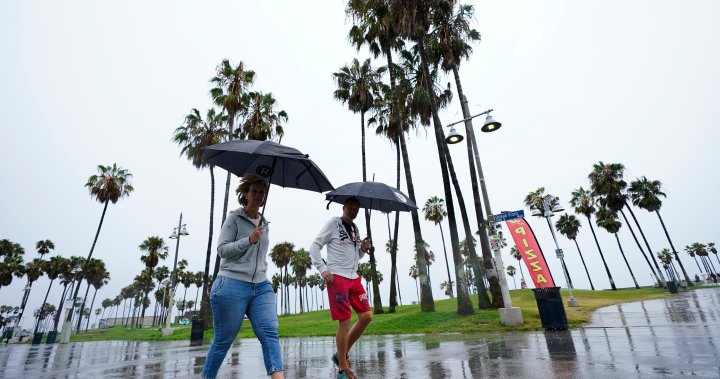 Hurricane Franklin gaining strength, Idalia expected to hit Florida as hurricane