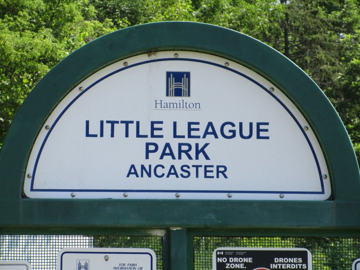 Hamilton Police say a man stole and tried to sell bleachers from Ancaster's Little League Park and sell them to a scrap metal dealer.