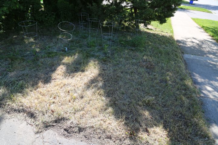 Family’s ‘naturalized’ garden in Burlington razed by City after they fail to comply with by-laws  | 24CA News