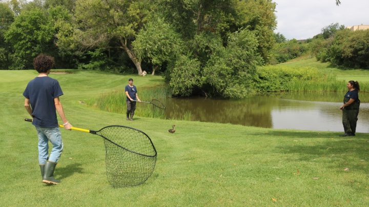 The Toronto Wildlife Centre is working to catch and clean animals after the spill.