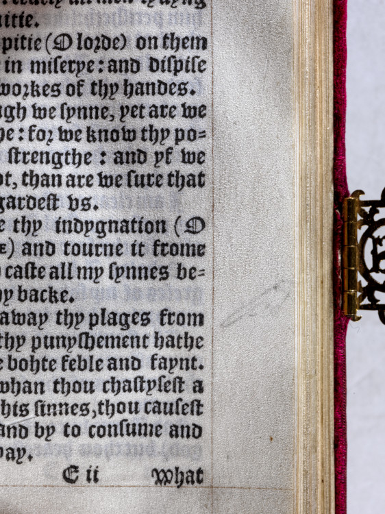 A closer look at the drawing in the margin. Credit: The Trustees of The Wormsley Fund and reproduced with permission from The Wormsley Estate.